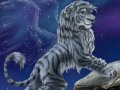 starwing_by_silverflight-d4ttpur.jpg